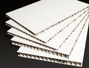 Honeycomb 1 Inch Thick Foam Core Board With Good Resistance To Light And Weather